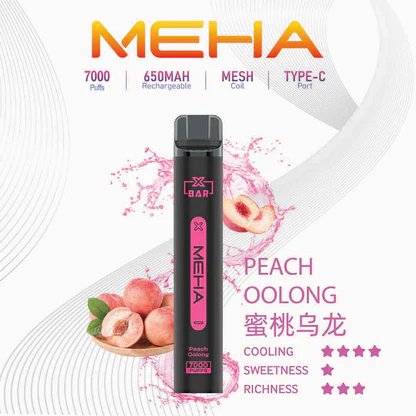 【MEHA XBAR】魅嗨小黑條 7000口拋棄式電子煙 650mAh可充電 3%丁鹽 極強冰感 Mesh芯 現貨秒發:圖片 14