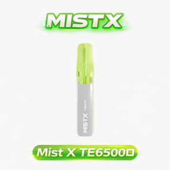 【Mist X】鴨嘴獸拋棄式電子煙 6500口 650mAh可充電 萌系造型 冰爽水果口味 現貨秒發