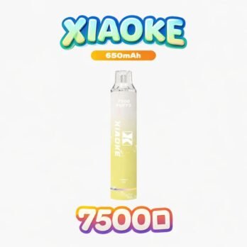 XIAOKE 梟客 拋棄式電子煙 7500口 – 可充電Type-C快充 8ml大容量煙油 650mAh電池 網狀霧化芯  台灣現貨